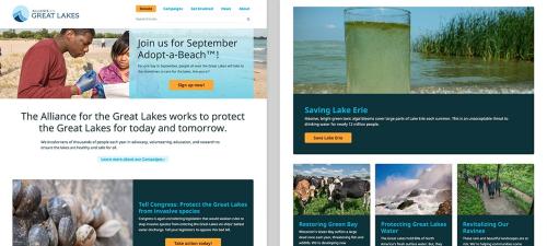 Alliance for the Great Lakes - increasing donations and email signups