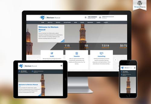 Website For Business and Financial Advisory Firm