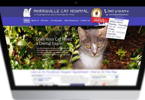 Morrisville Cat Hospital