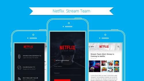 Netflix Stream Team