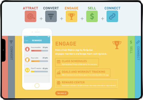 NETPULSE FITNESS SOLUTION