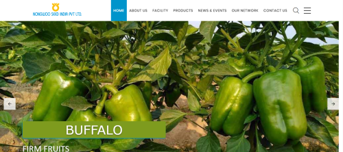 Nongoo Seed India
