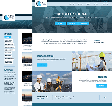 Oasis Consulting Services