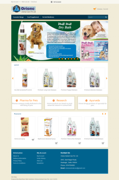 Web Development for Orione