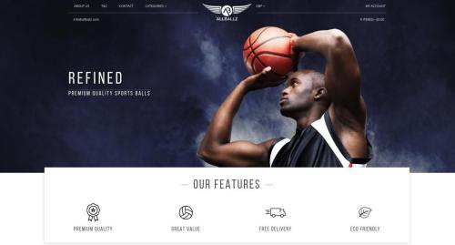 E-commerce project for AllBallz