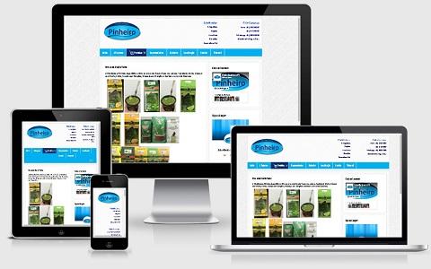 Website Distribuidora Pinheiro