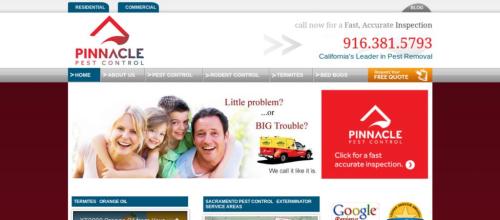 Wordpress Development  - Pinnacle Pest