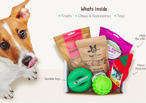 Dapper Dog Box