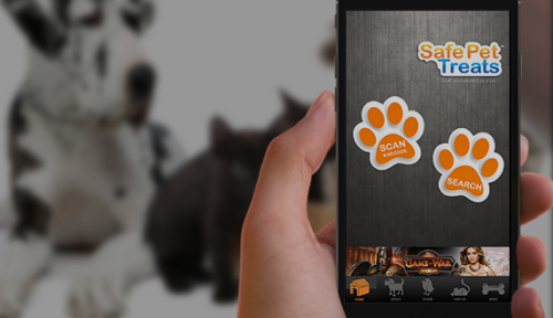 Safe Pet Treats