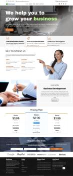 Business Lead Website
