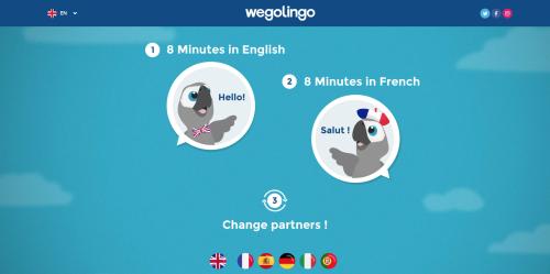 Website Design, Branding and Graphic for a Language Exchange Website