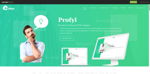 Profyl - Personal Vcard Resume HTML Template