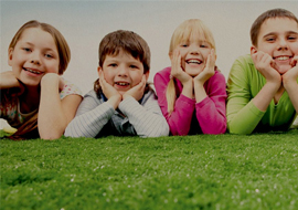 Socialkids.ca - Based in Edmonton, Canada - WordPress Development