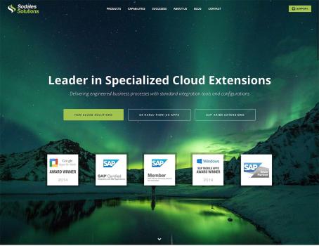 Sodales Solutions