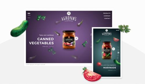 Agroyans Preserve Foods Website Design and Development
