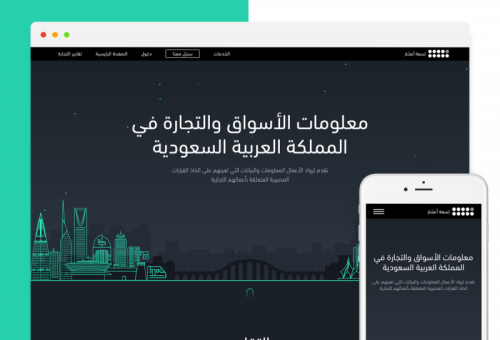 e-Commerce Platform & Data Visualization for Consulting Firm