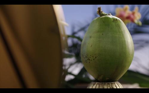 TAJA - Coconut Water