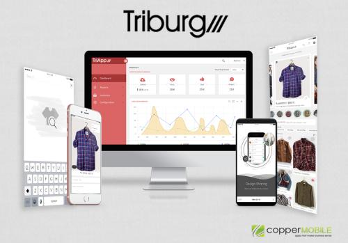 Design Catalog and Content Management System