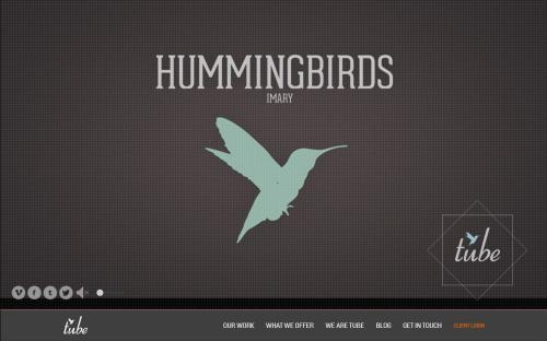 Tube- Production Design Studio in WordPress