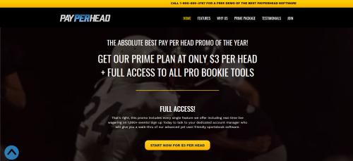 PAYPERHEAD SPORTS BOOK, GAMING, SOFTWARE ADVERTISING: