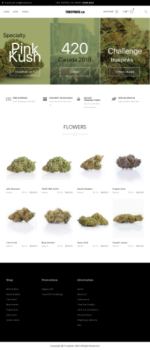 Web store creation for online dispensary