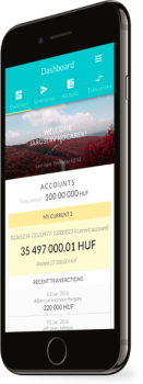 WHITE LABEL BANKING APP