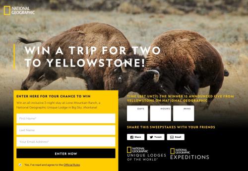 National Geographic – Yellowstone Live Competition