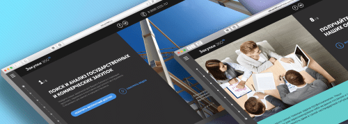 System for monitoring and analysis of public procurement